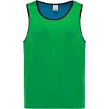 Chasuble de rugby réversible PA044 - Sporty Royal Blue / Green