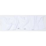 Serviette de sport microfibre TC017 - White