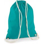 Gymsac en coton W110 - Emerald - 37 x 46 cm de dos